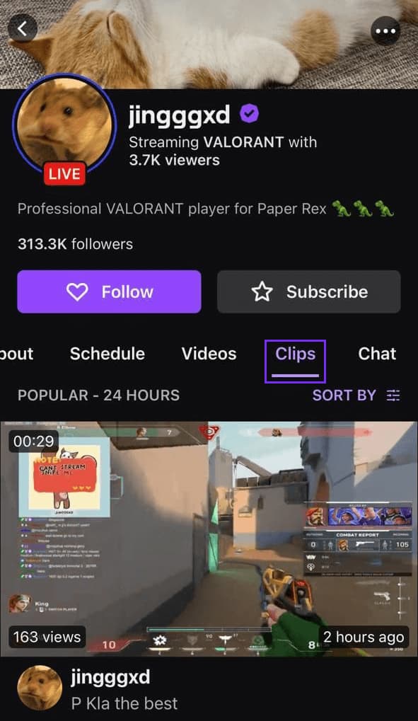 Twitch Clips Page
